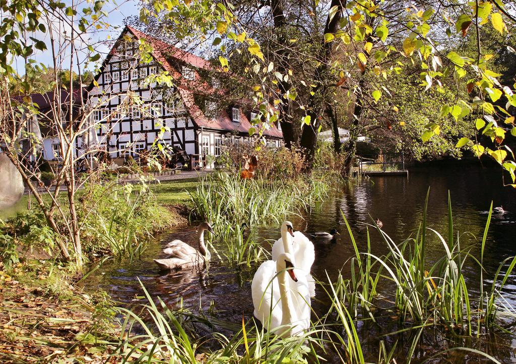 Springbach-Muehle Belzig Hotel Luaran gambar